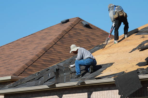 Best Roof Insulation Installation  in Center, TX