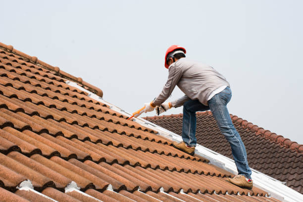 Best 4 Ply Roofing  in Center, TX